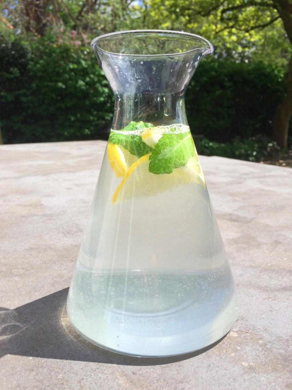 Goot Experiment bereik Vrolijk verfrissend water - Online Recepten - KookJij