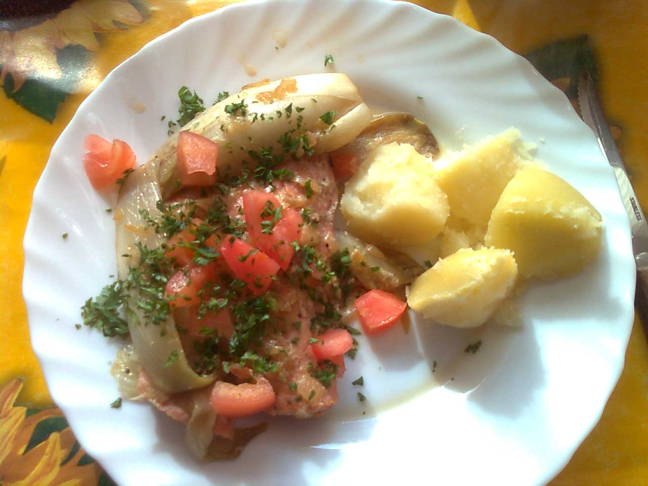 Zalm met witlof en Hertog Jan Dubbel