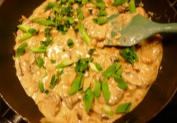 Kip Stroganoff