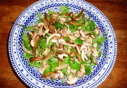 Salade van winterpostelein, paddenstoelen, linzen, appel, noten, kaas